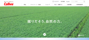 カルビー株式会社のサイトです。